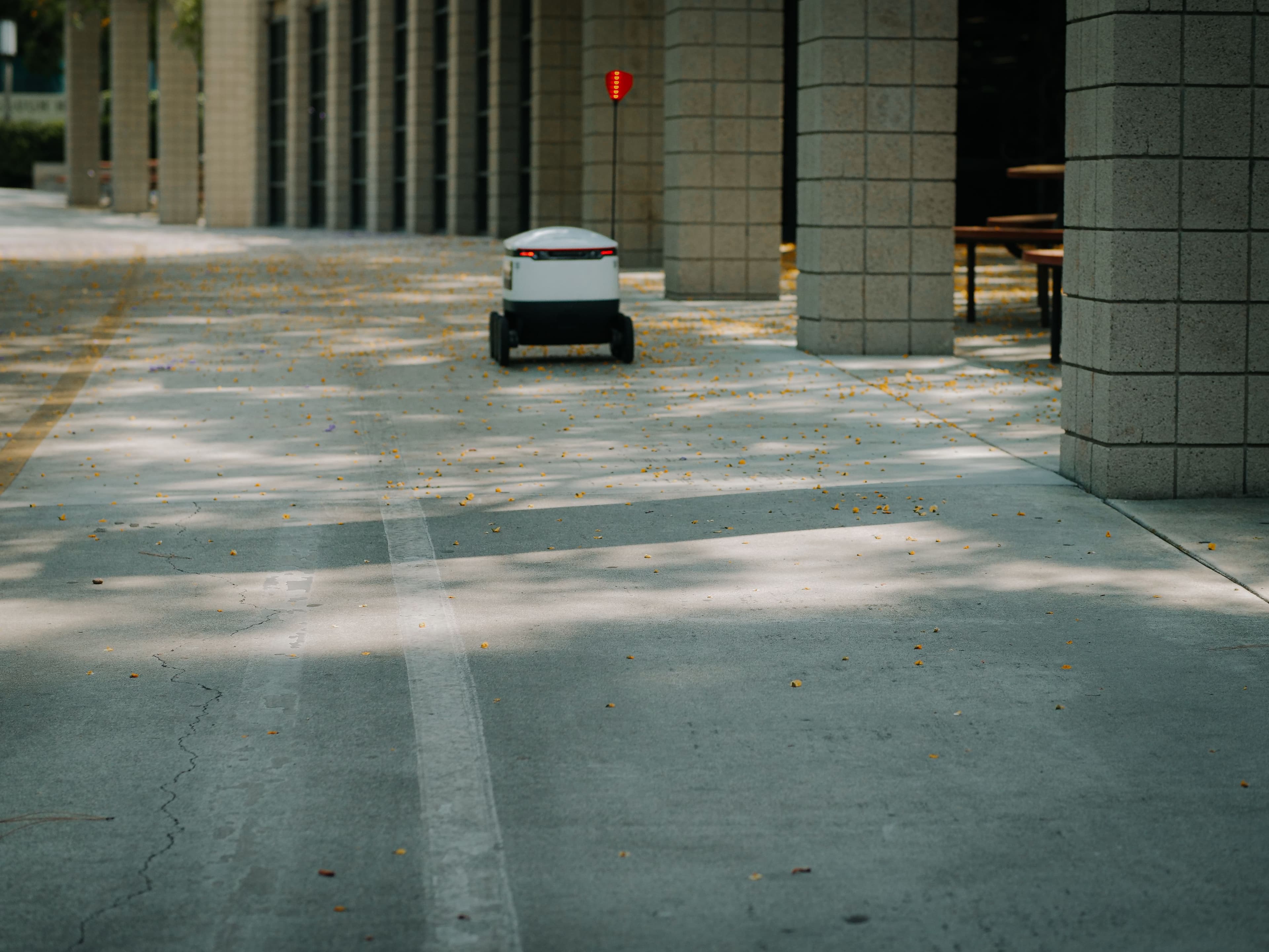 The Power of AI Automation for Your Business